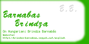 barnabas brindza business card